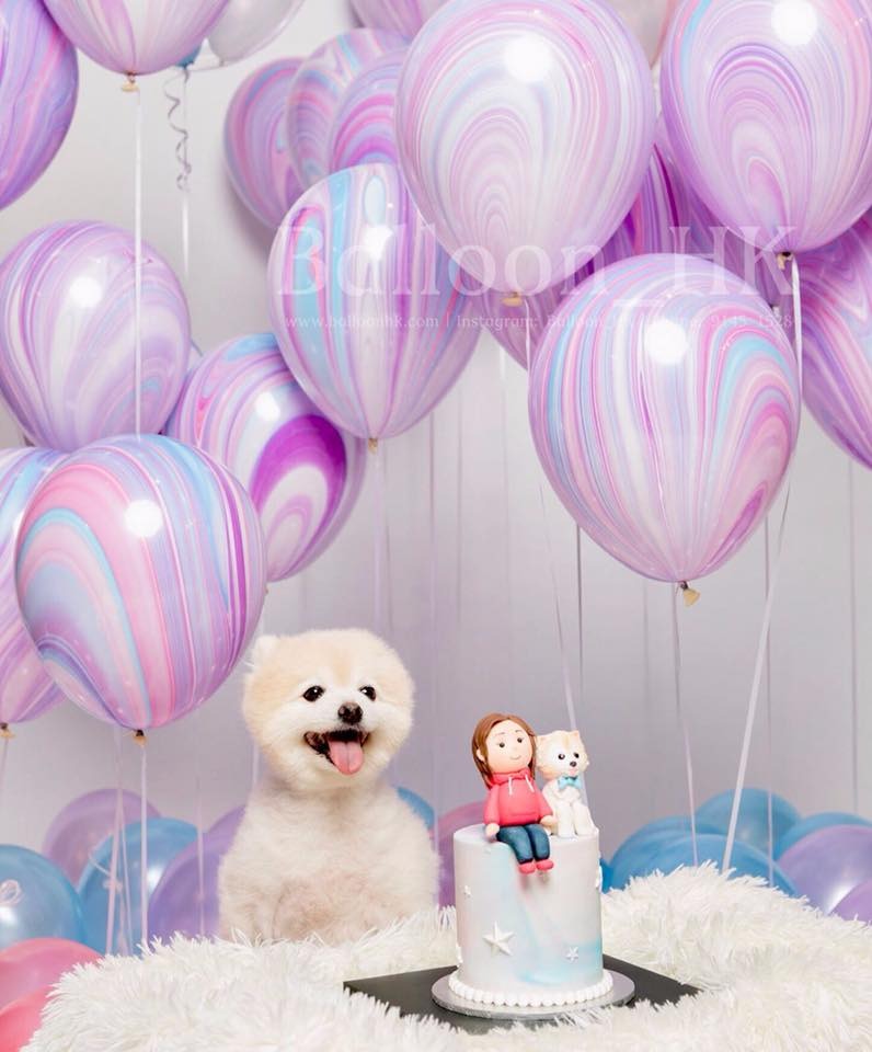 橡膠氣球|寵物拍攝氣球|派對佈置氣球|Balloon HK