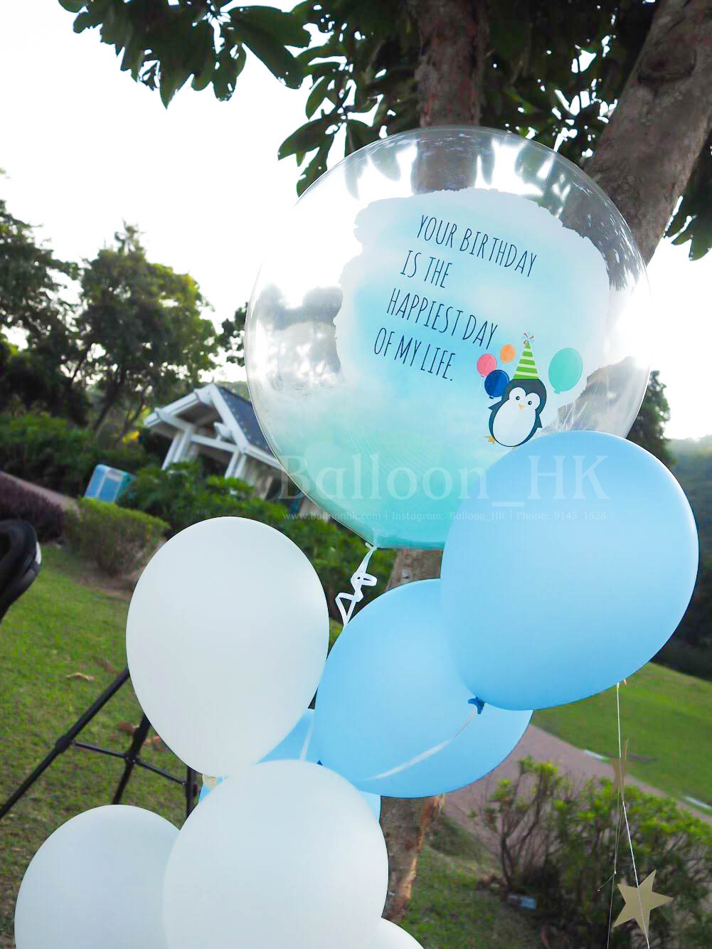 BB氣球 |寶寶氣球| Baby balloon | BalloonHK