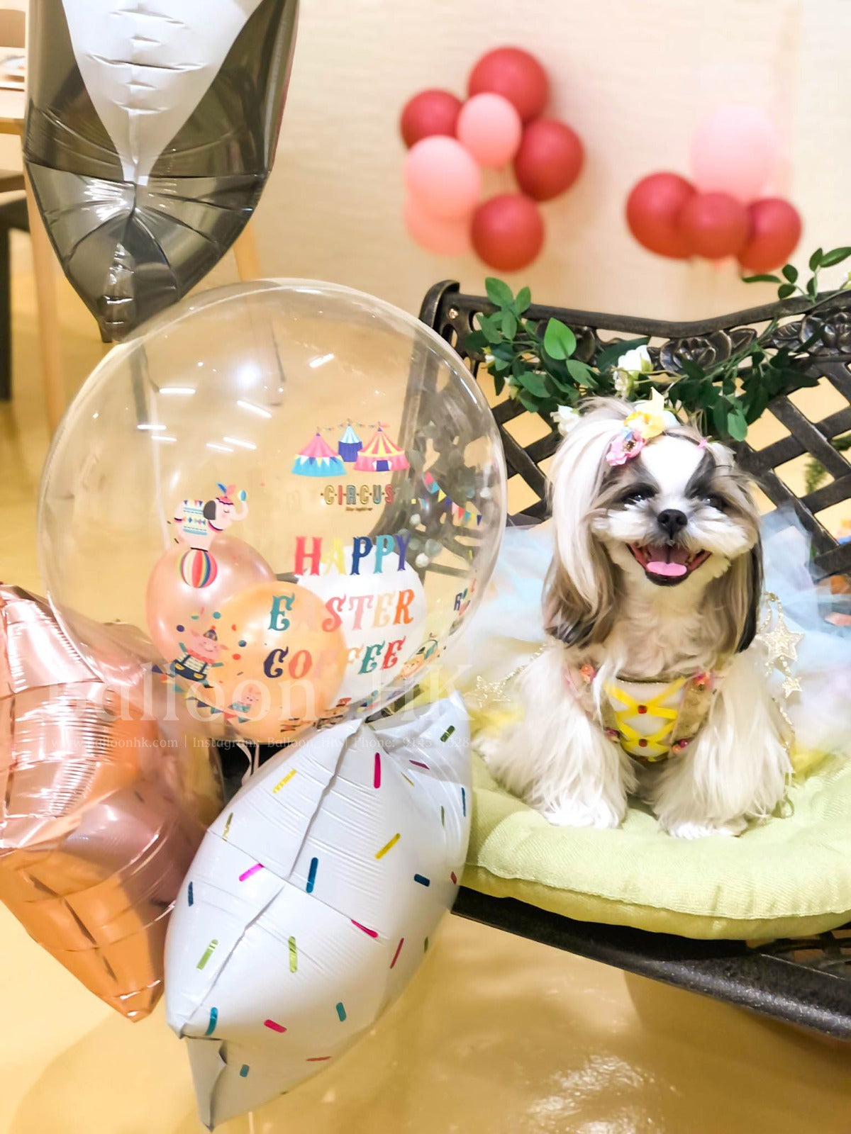 生日氣球 |Birthday balloon | BalloonHK