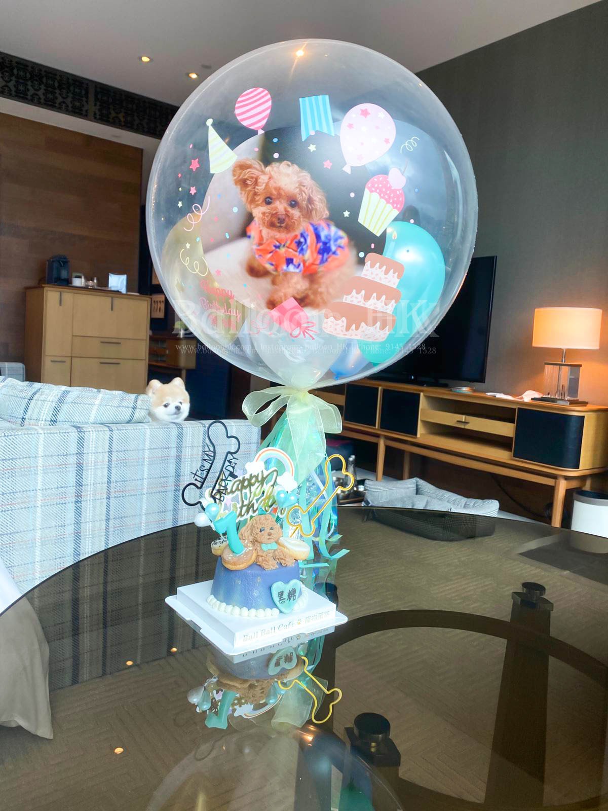 透明波中波|相片氣球| 寵物生日氣球| BALLOON HK 氣球專門店