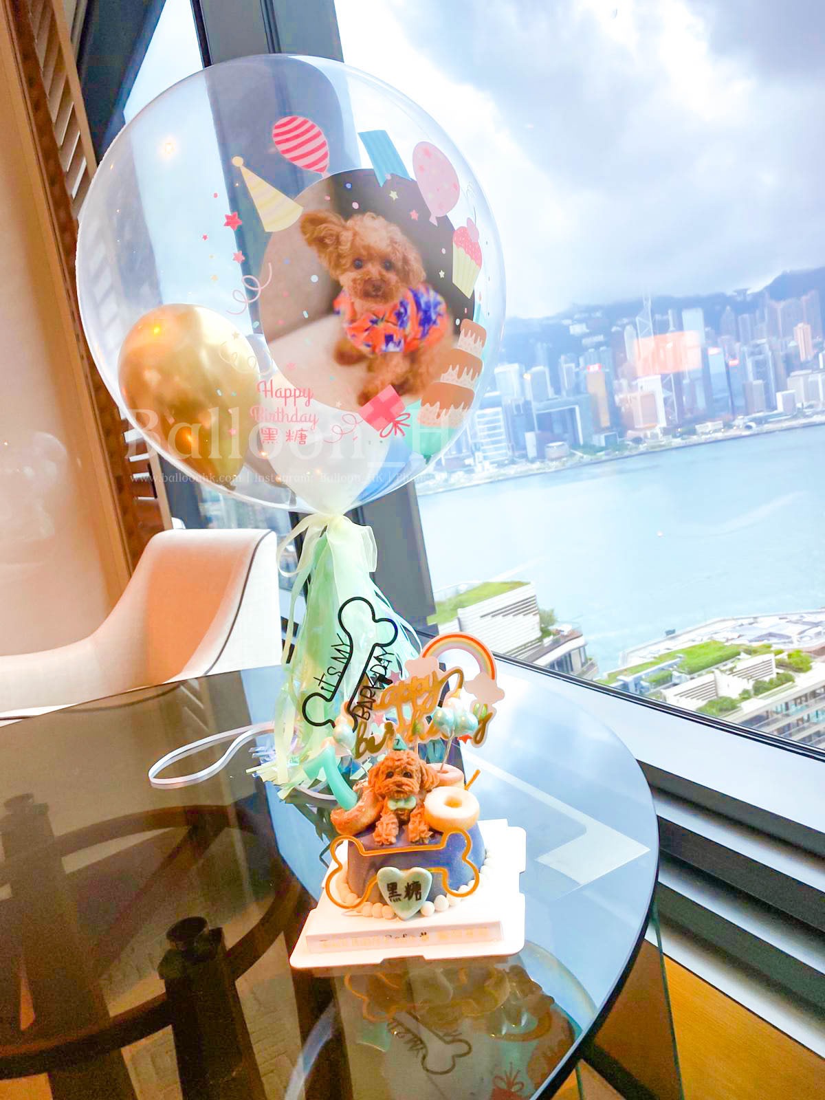 透明波中波|相片氣球| 寵物生日氣球| BALLOON HK 氣球專門店