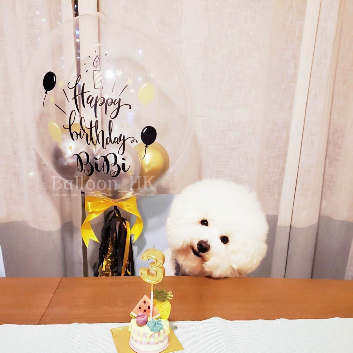 透明波中波|寵物生日氣球| Message氣球|BALLOON HK 氣球專門店