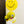 Smiley 氣球束 1