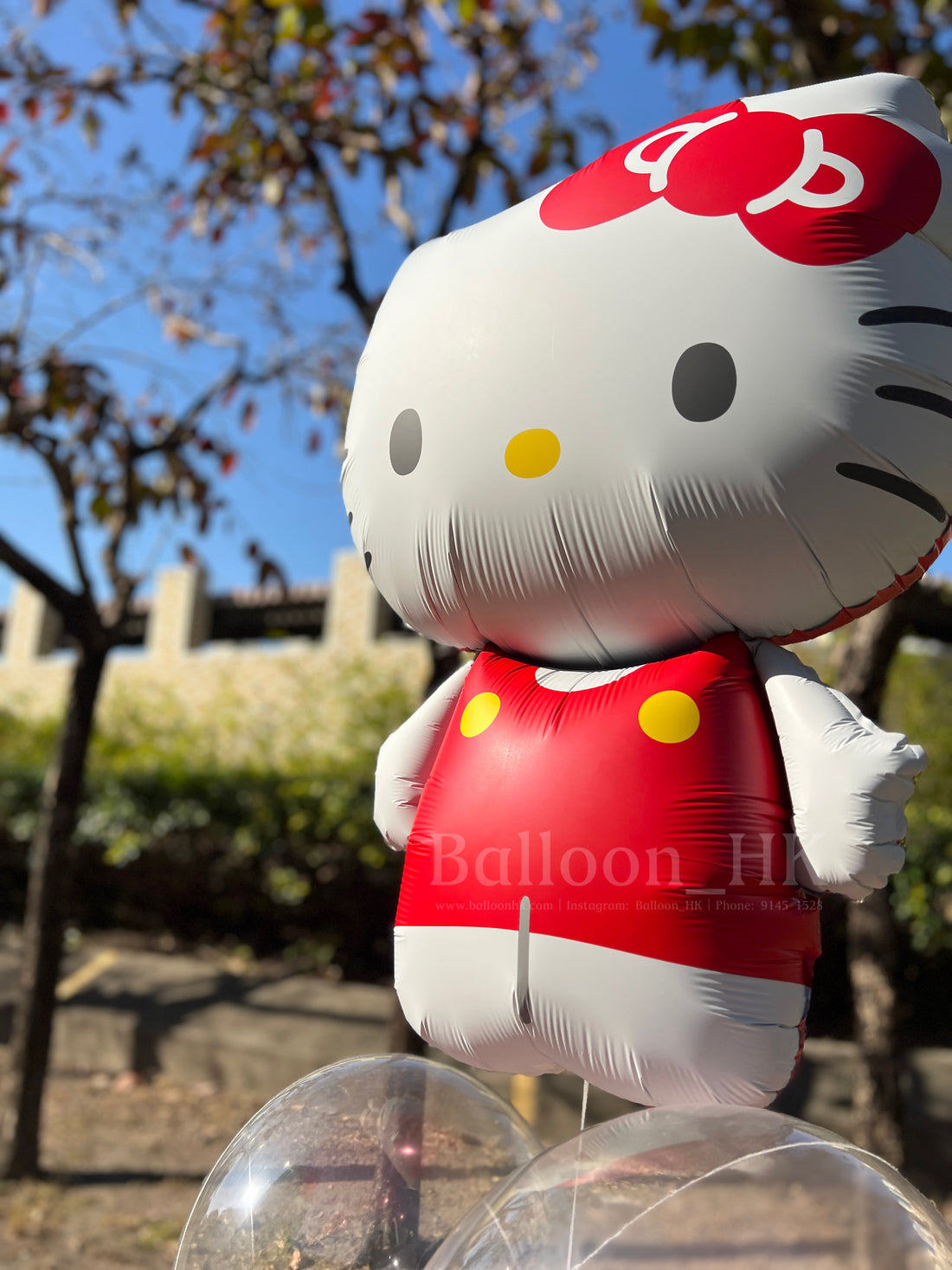 Hello Kitty 氣球 ｜氦氣球｜錫紙氣球| Balloon HK 