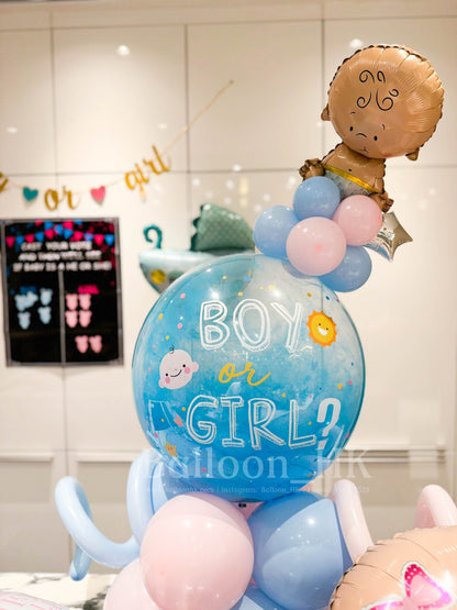 性別揭曉派對 ｜Gender Reveal Party｜Boy or Girl | BalloonHK 