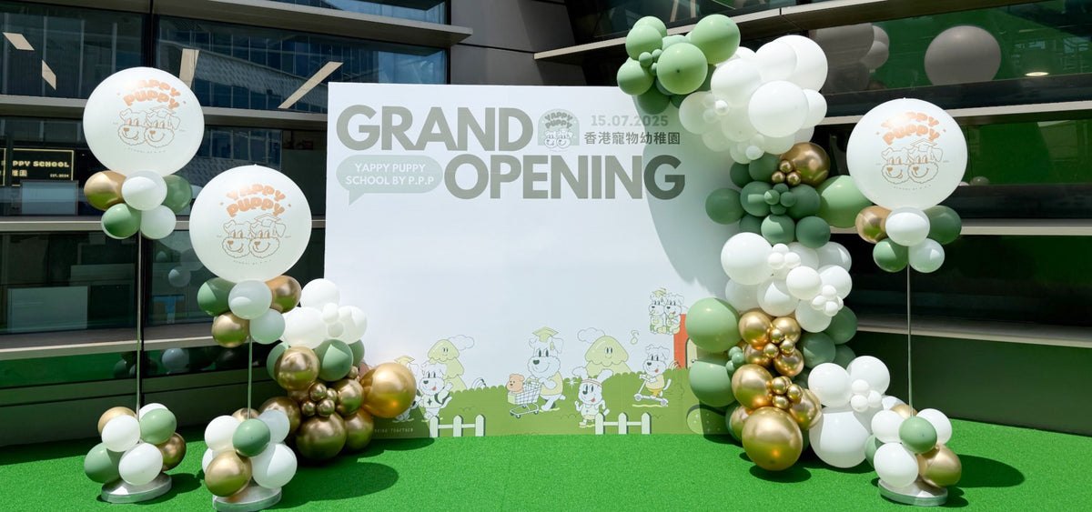 Paw Pup Pal Grand Opening 開幕氣球全套｜品牌客製化氣球裝飾｜大型開幕慶典佈置