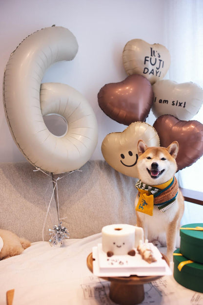 Pet Edition 6