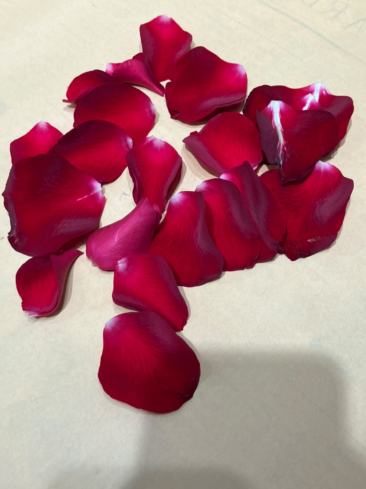 紅色玫瑰花｜鮮花｜花瓣🌹
