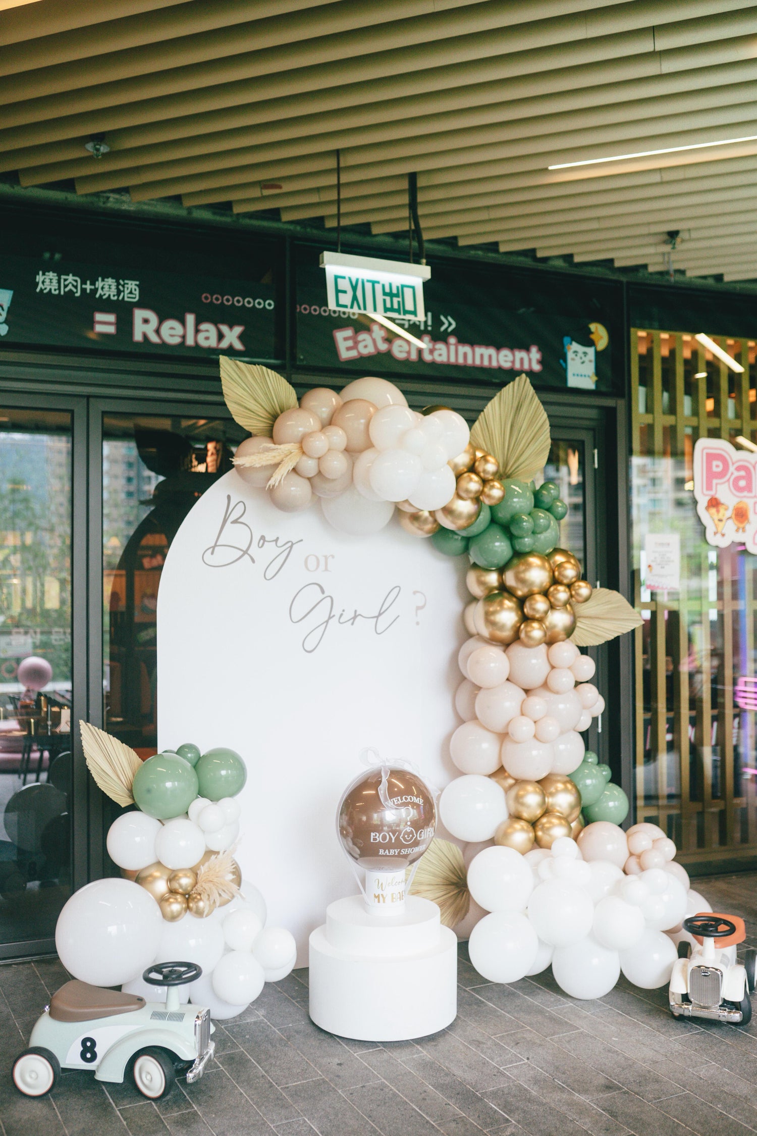 Baby Gender Reveal｜Backdrop 佈景板｜Balloon Garland