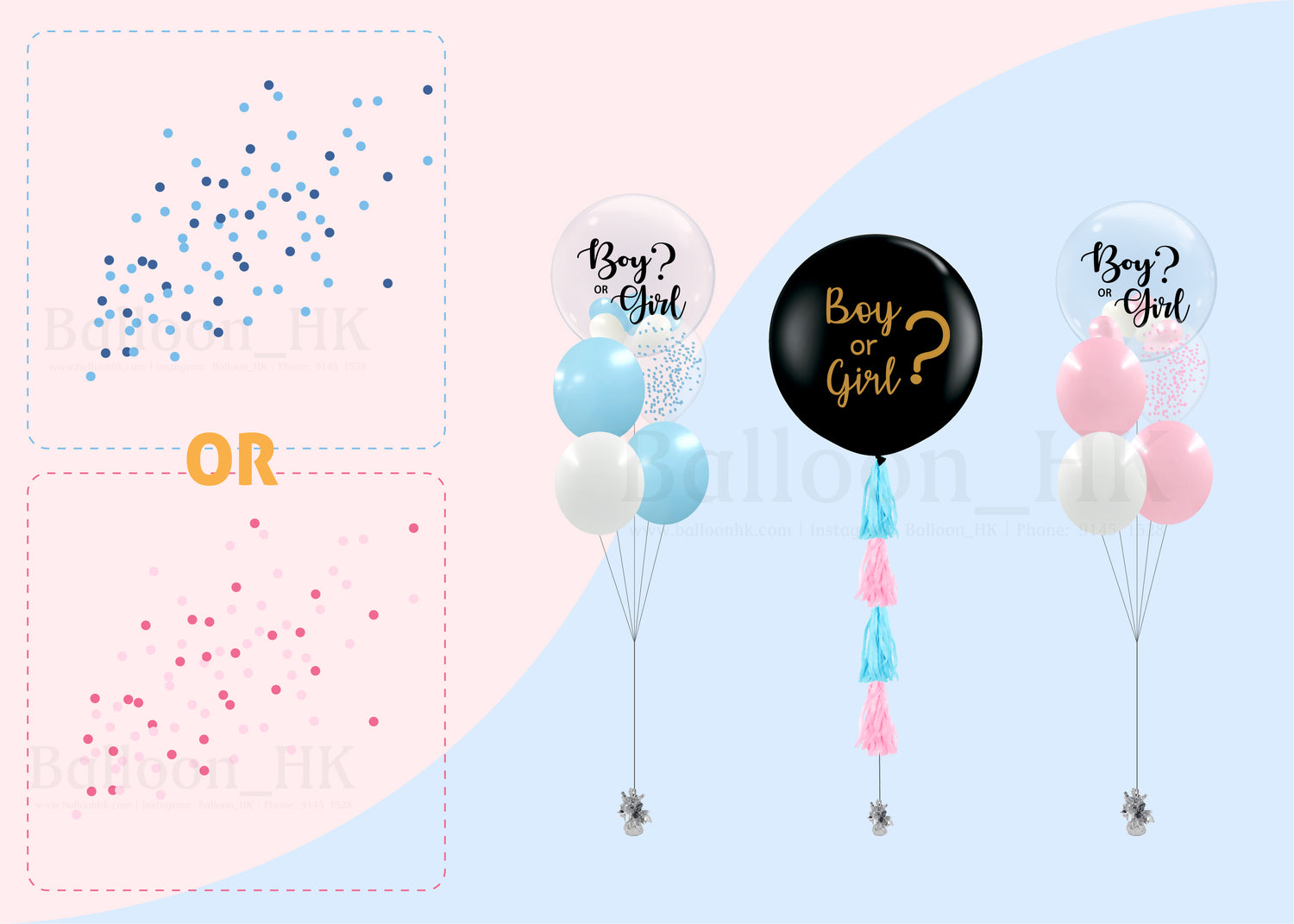 Baby Gender Reveal Package 6