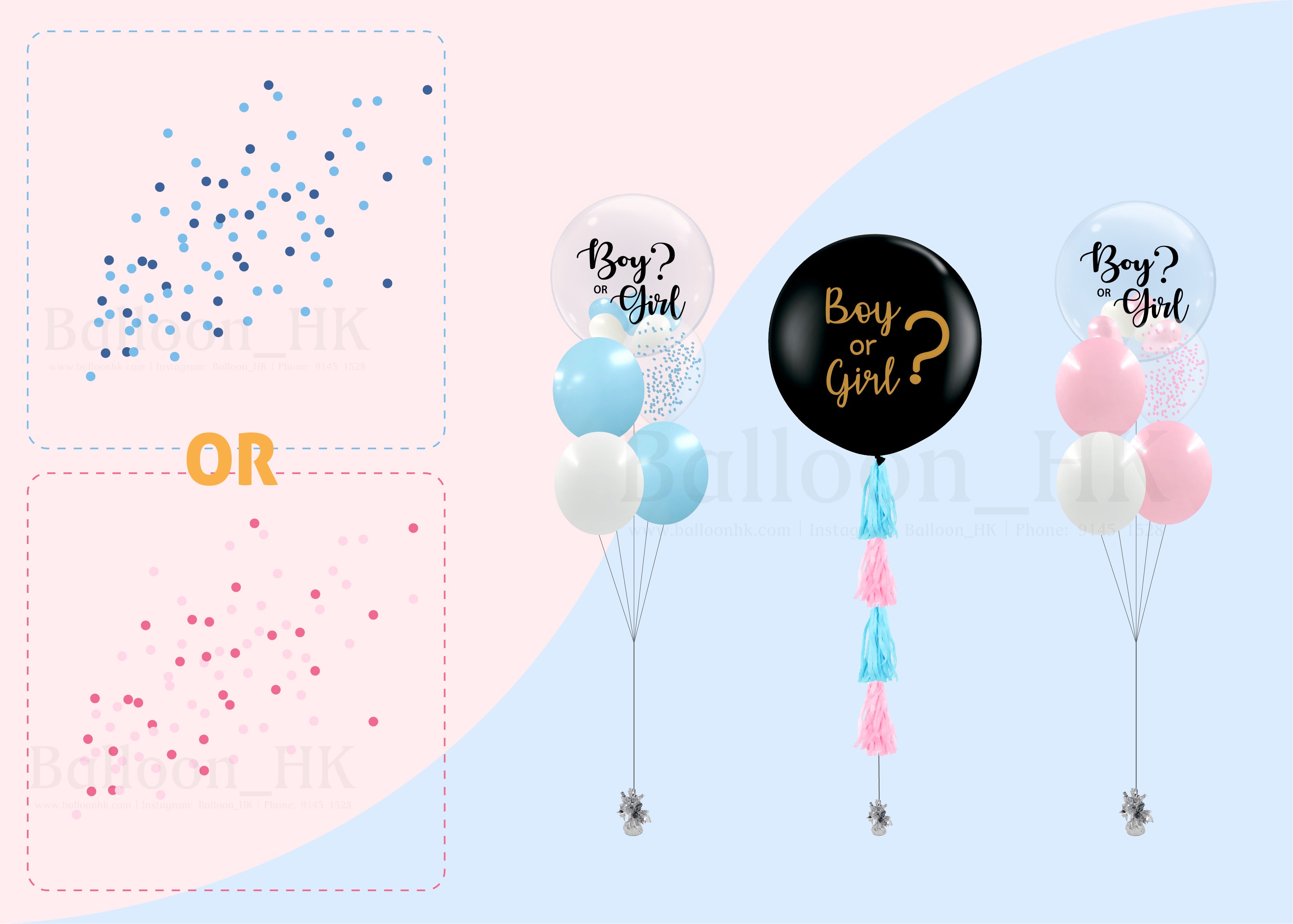 Baby Gender Reveal Package 6