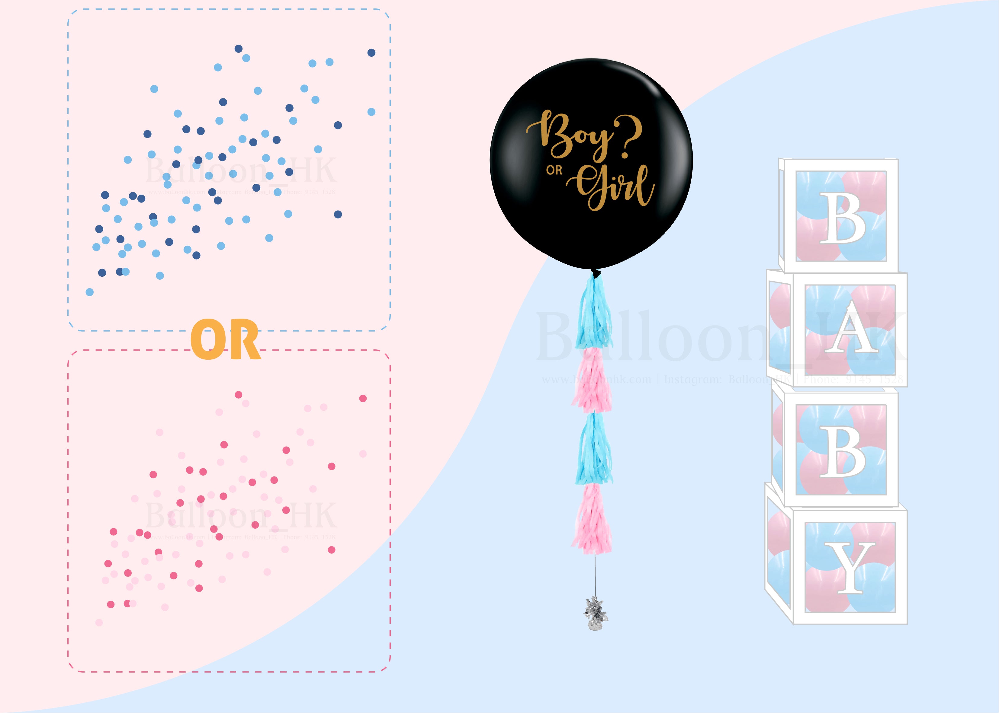 Baby Gender Reveal Package 4