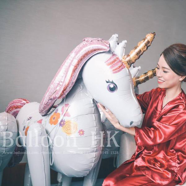 C31 座地 Magical Unicorn