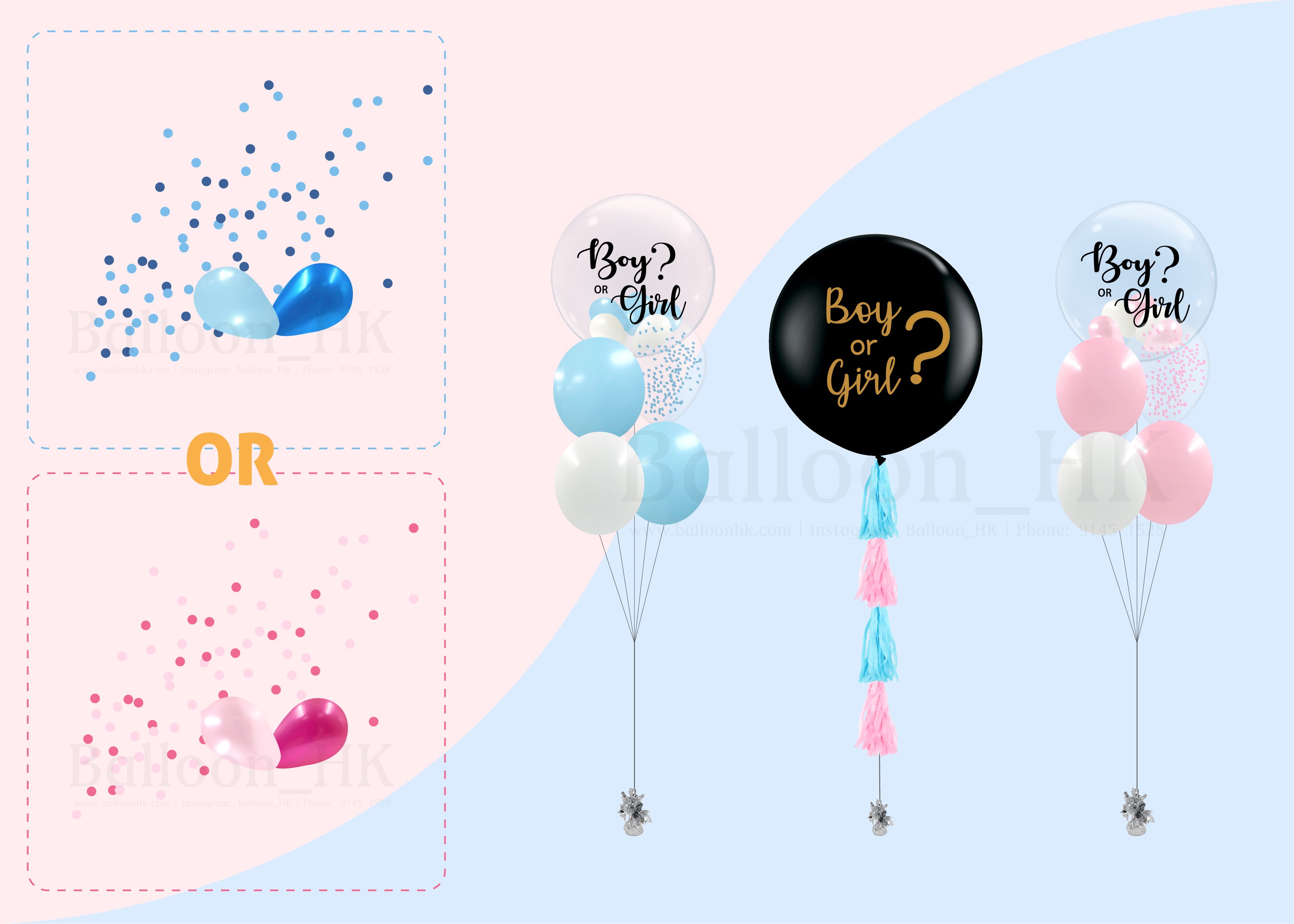 Baby Gender Reveal Package 6