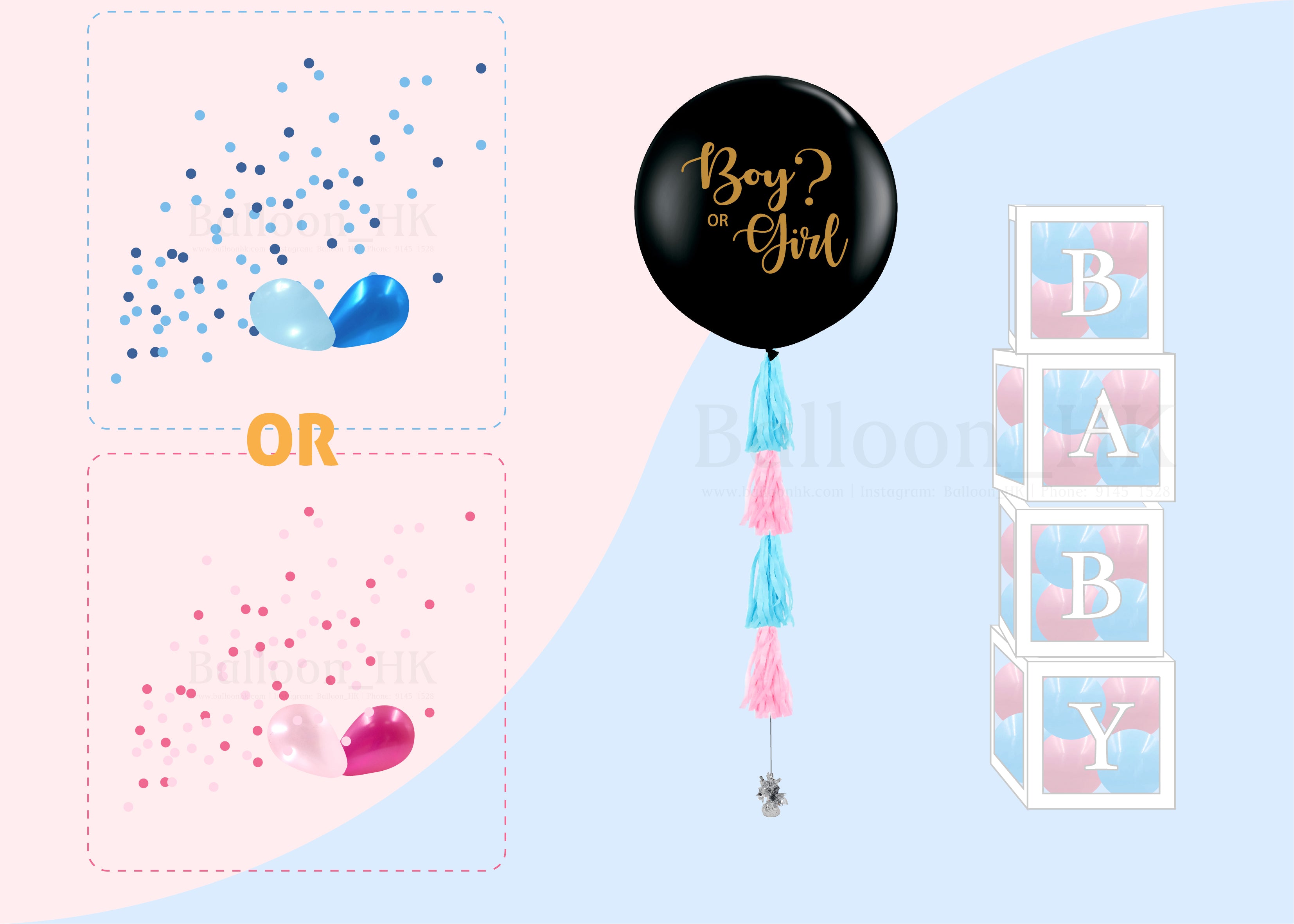 Baby Gender Reveal Package 4