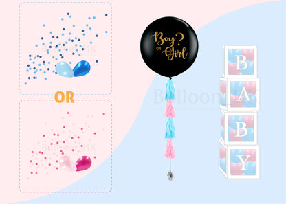Baby Gender Reveal Package 4