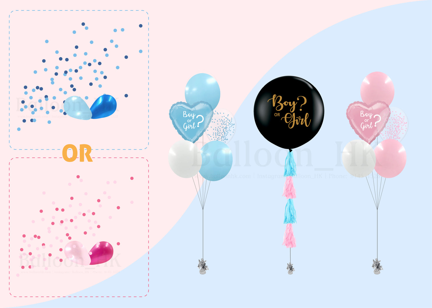 Baby Gender Reveal Package 5