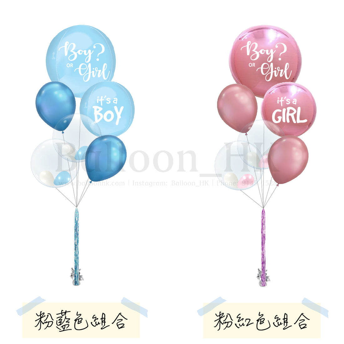 Baby Gender Reveal Set 2