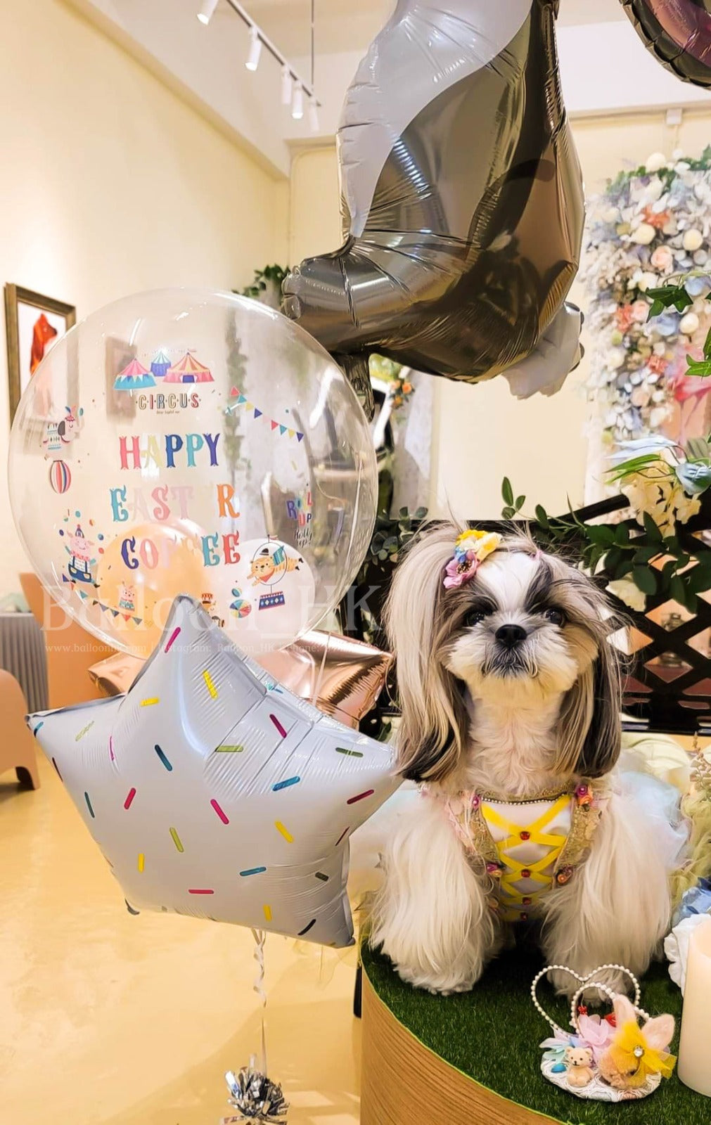 生日氣球 ｜Birthday balloon | BalloonHK