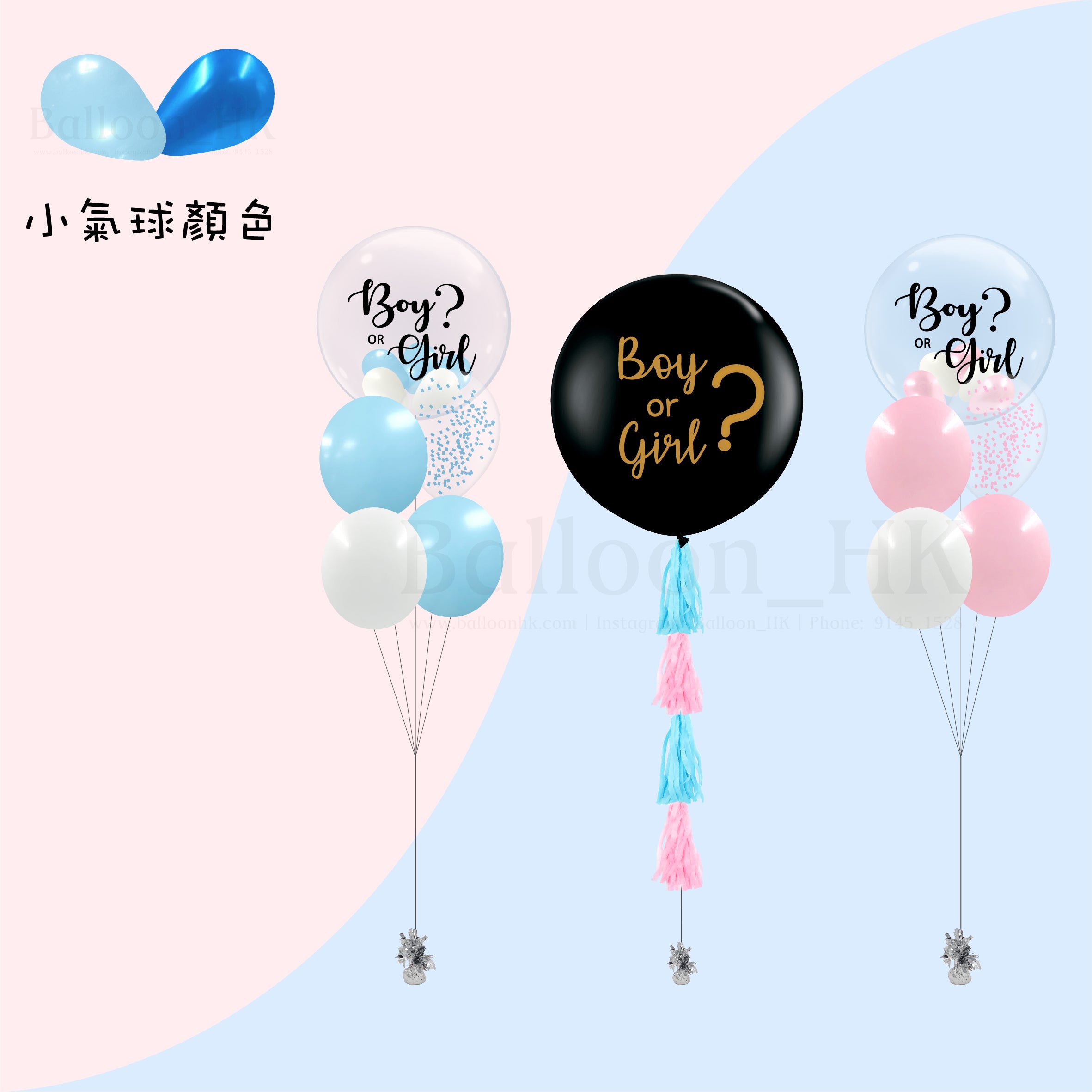 Baby Gender Reveal Package 6