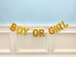 A011 - Boy Or Girl Banner-金色