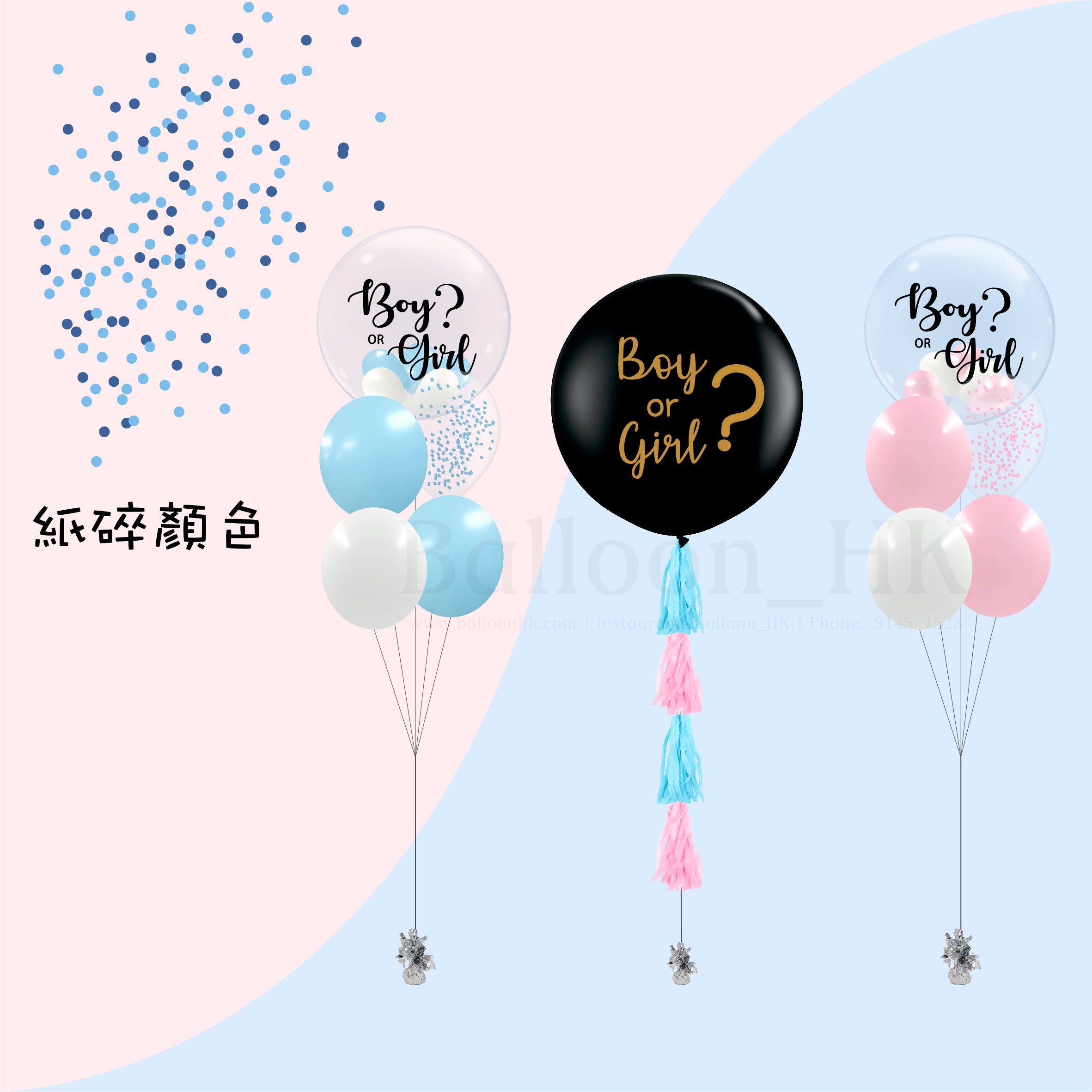 Baby Gender Reveal Package 6