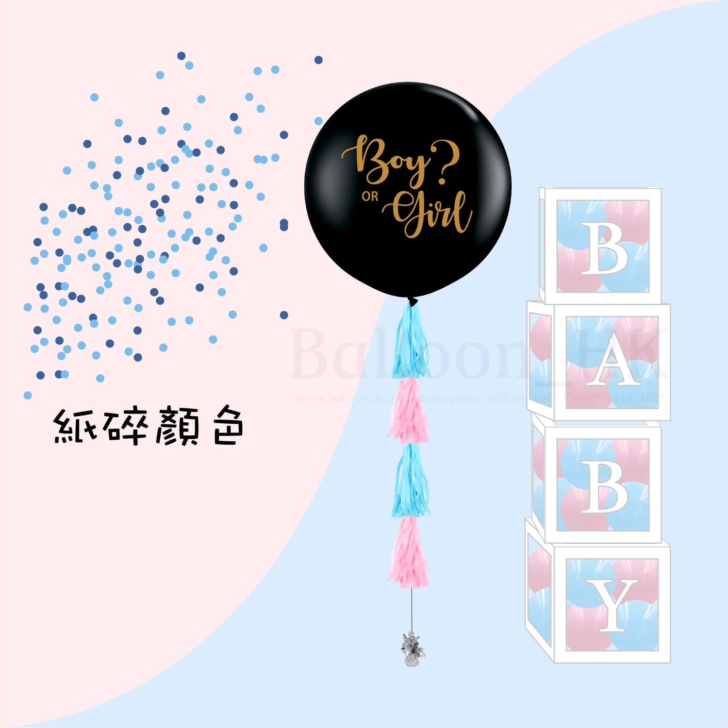 Baby Gender Reveal Package 4