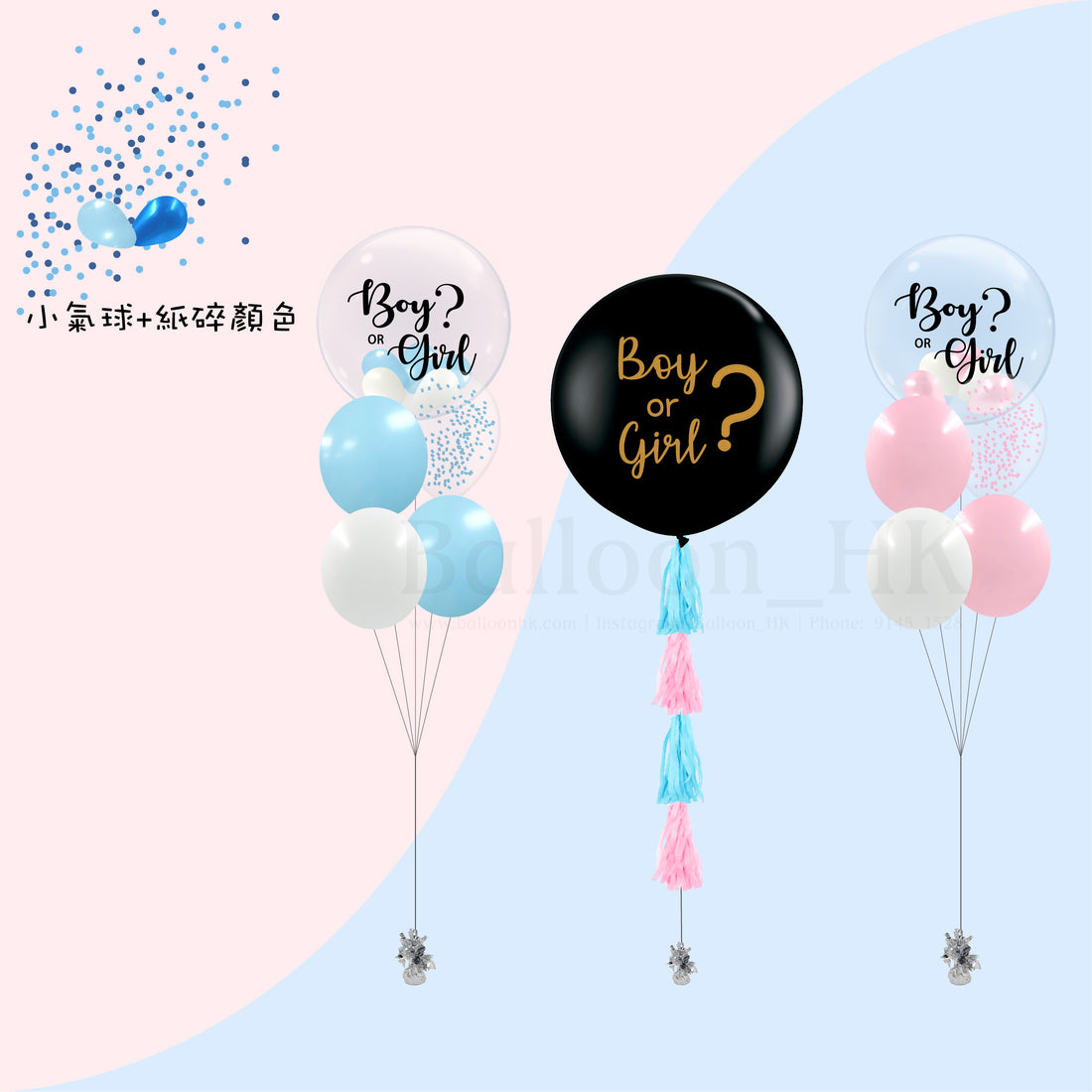 Baby Gender Reveal Package 6