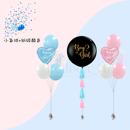 Baby Gender Reveal Package 5