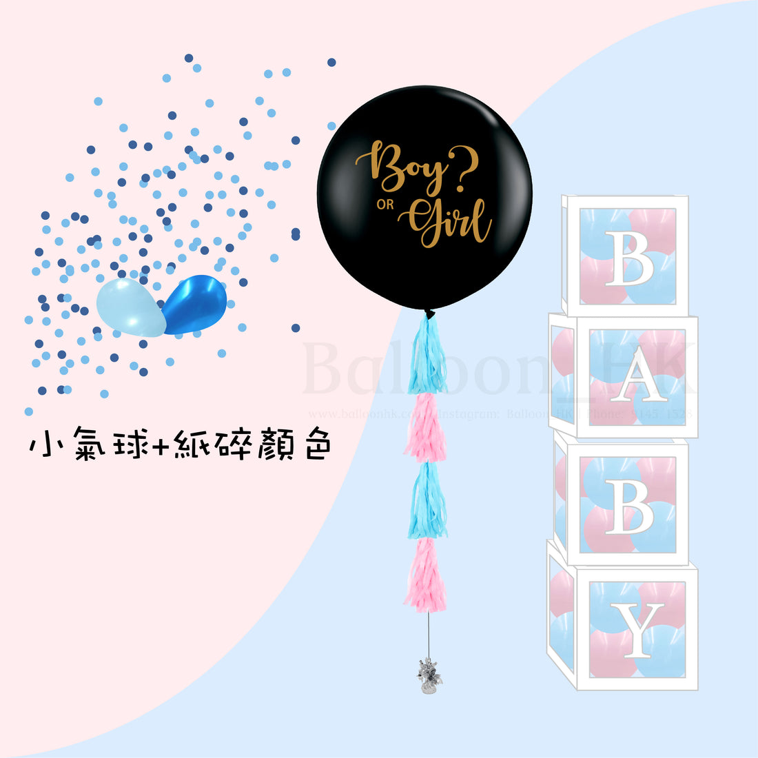 Baby Gender Reveal Package 4