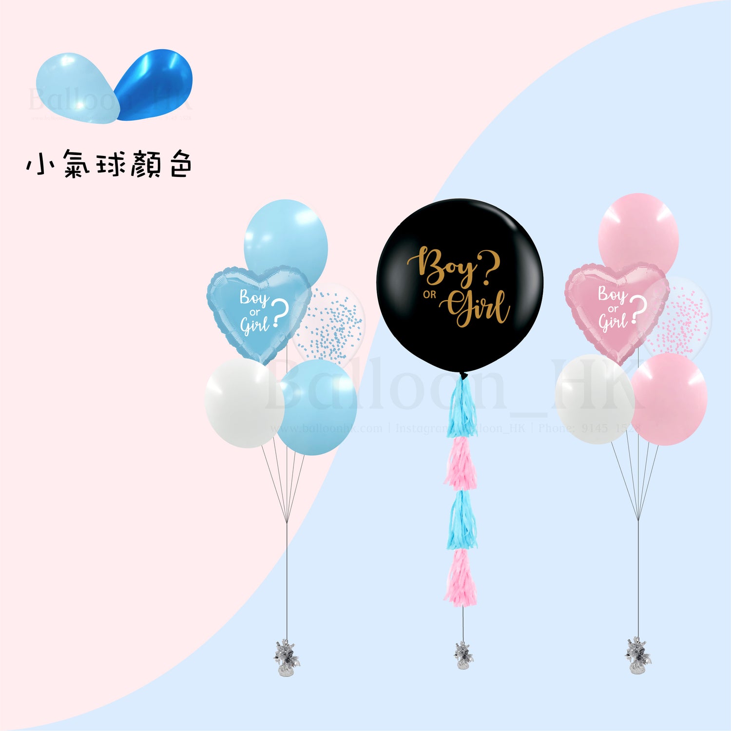 Baby Gender Reveal Package 5