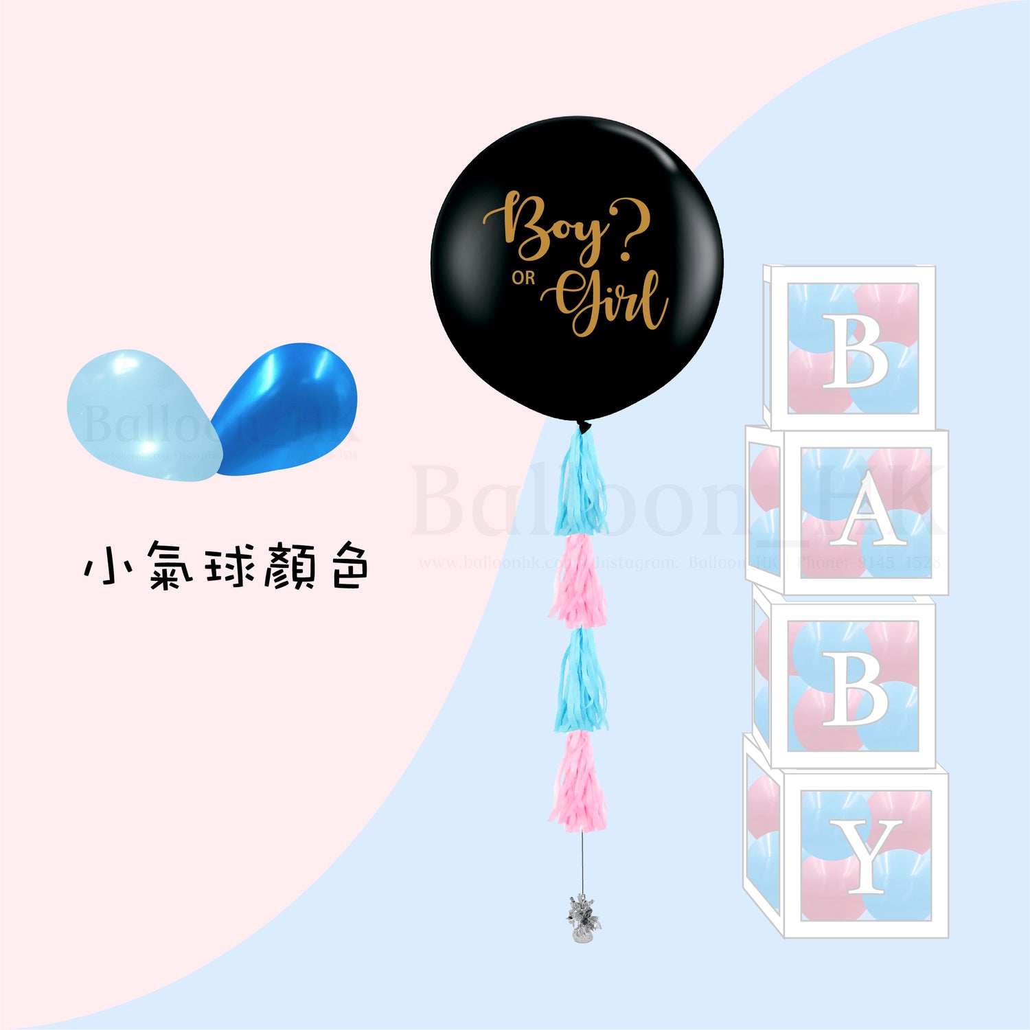 Baby Gender Reveal Package 4