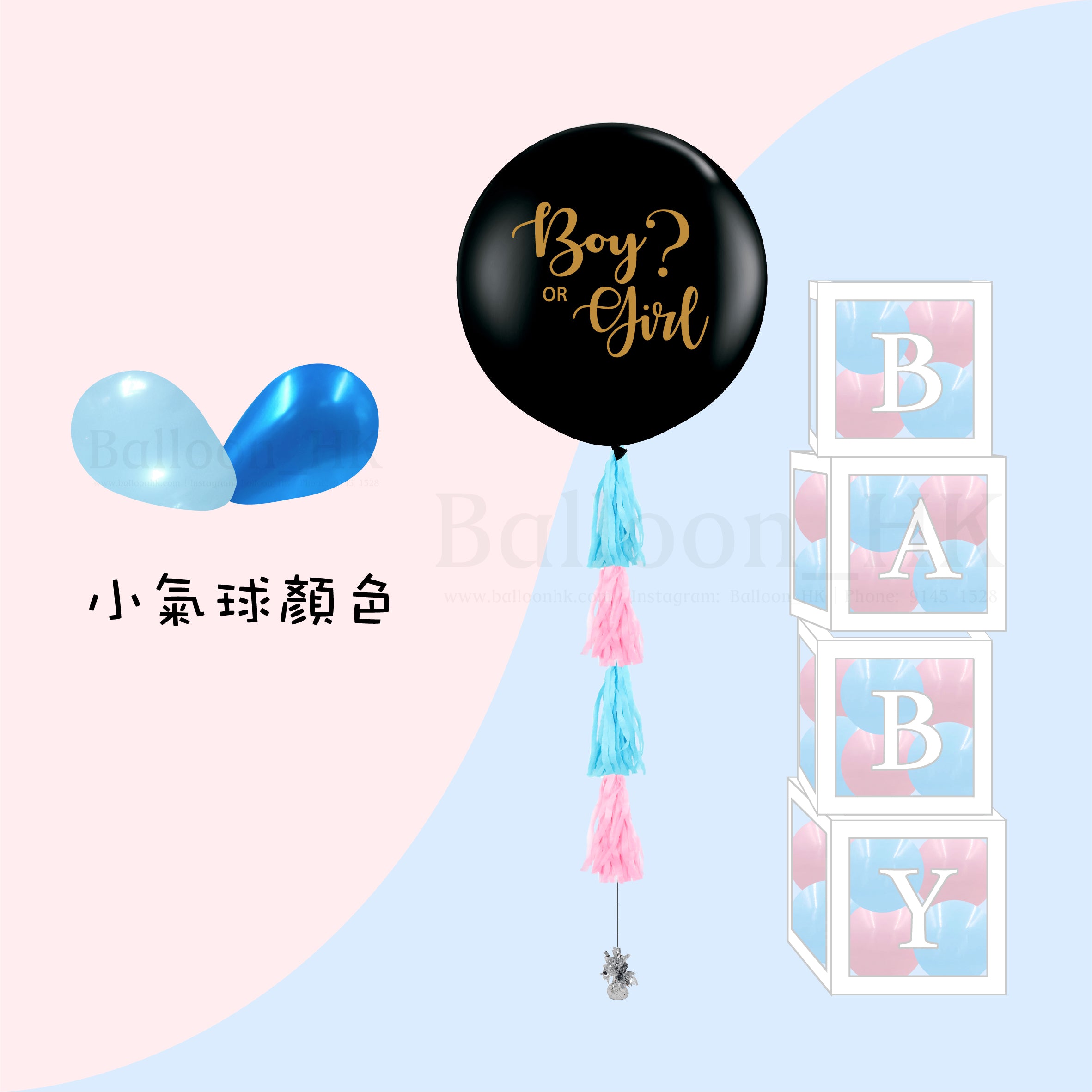 Baby Gender Reveal Package 4
