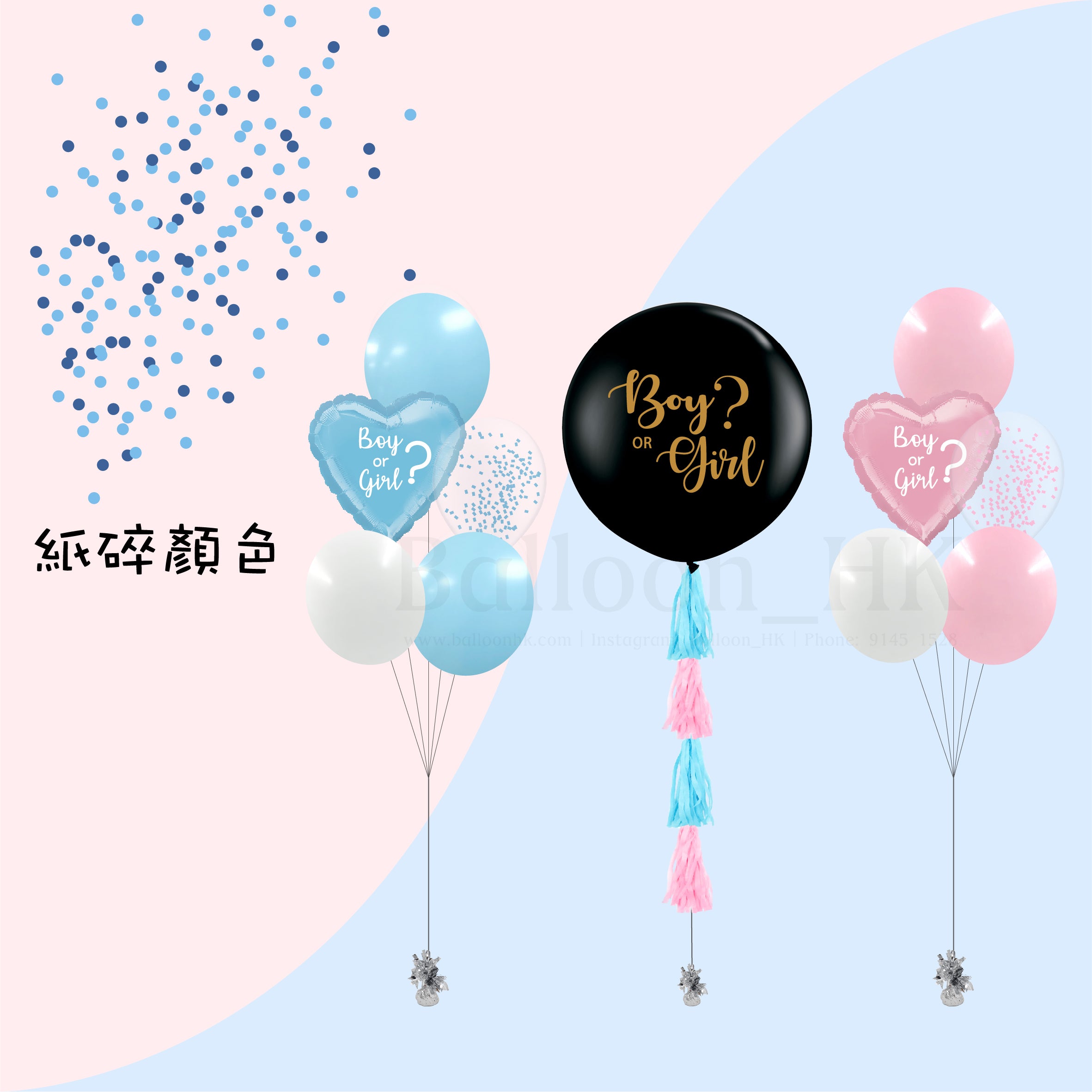 Baby Gender Reveal Package 5