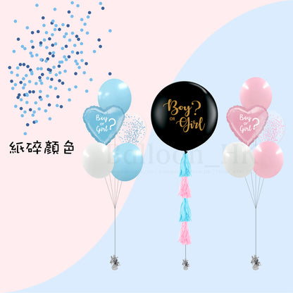 Baby Gender Reveal Package 5