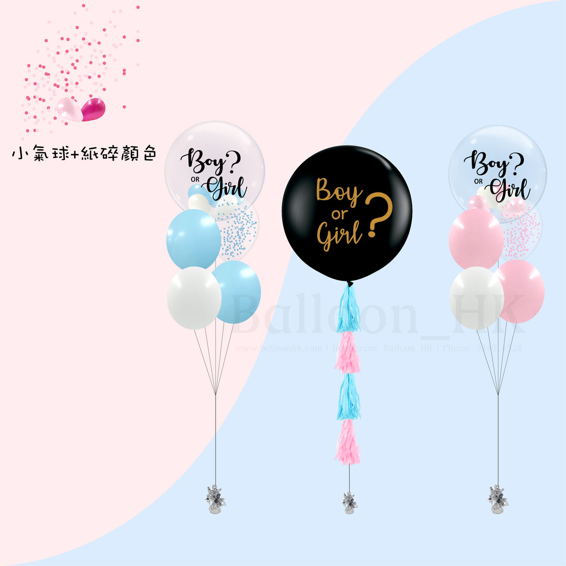 Baby Gender Reveal Package 6