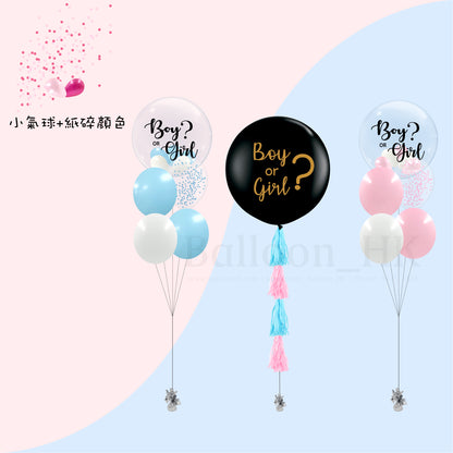 Baby Gender Reveal Package 6