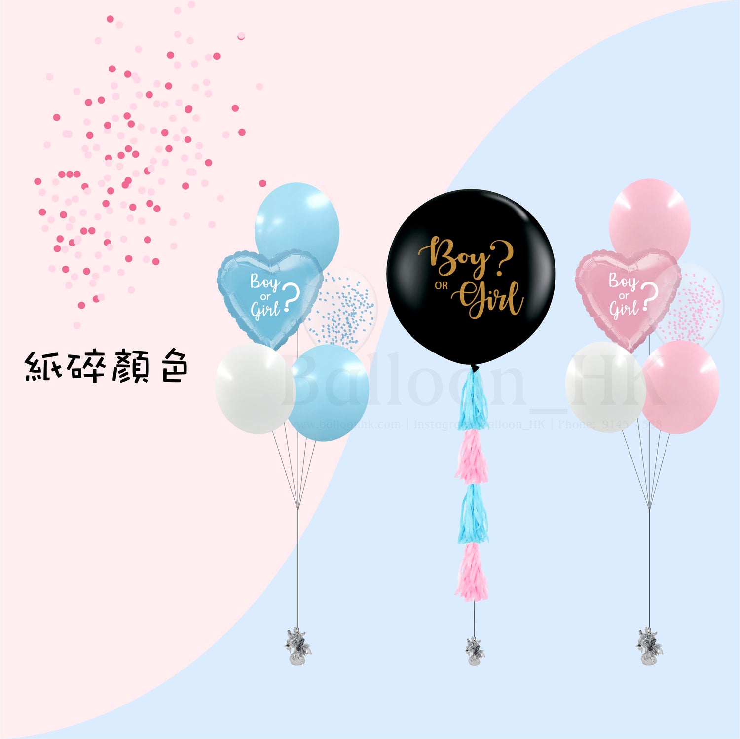 Baby Gender Reveal Package 5