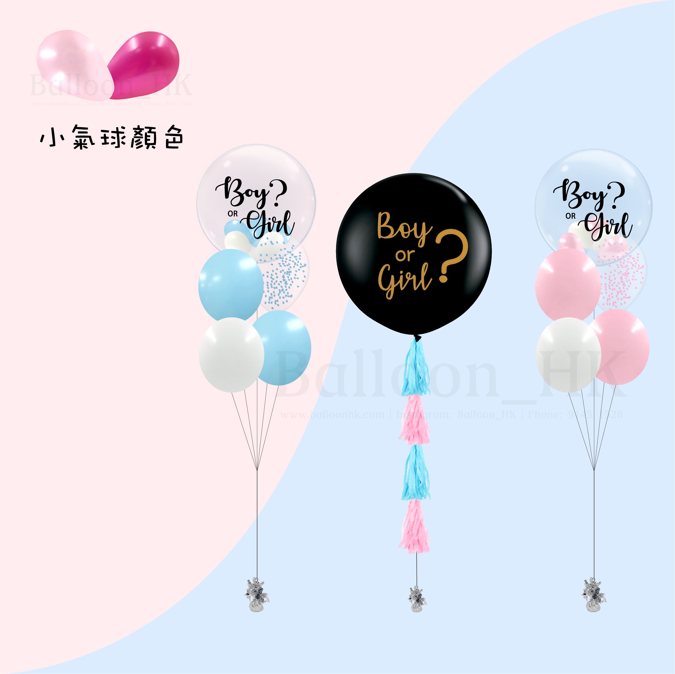 Baby Gender Reveal Package 6