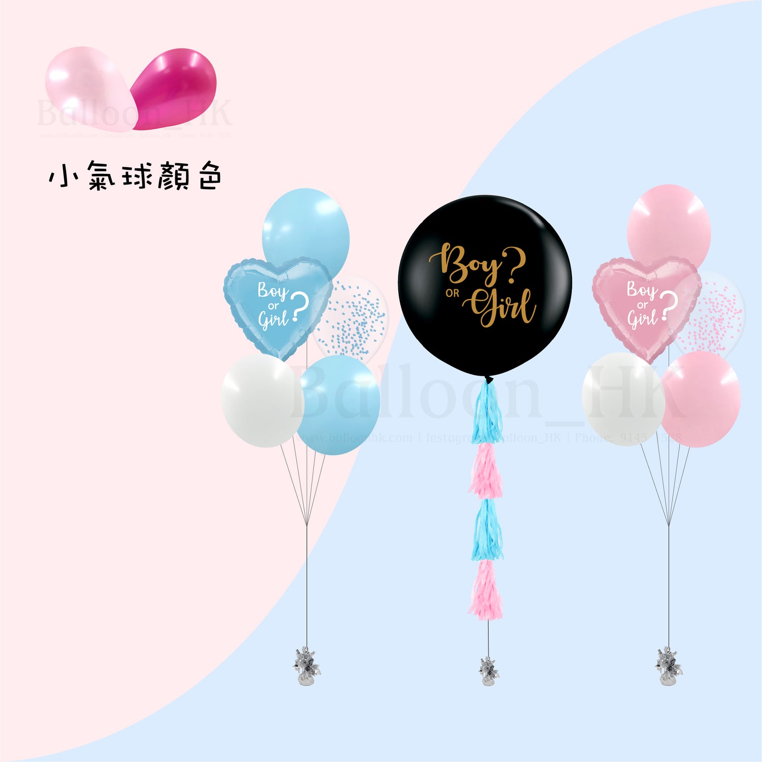 Baby Gender Reveal Package 5