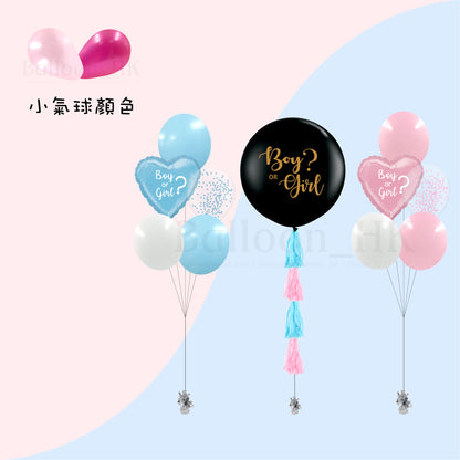 Baby Gender Reveal Package 5
