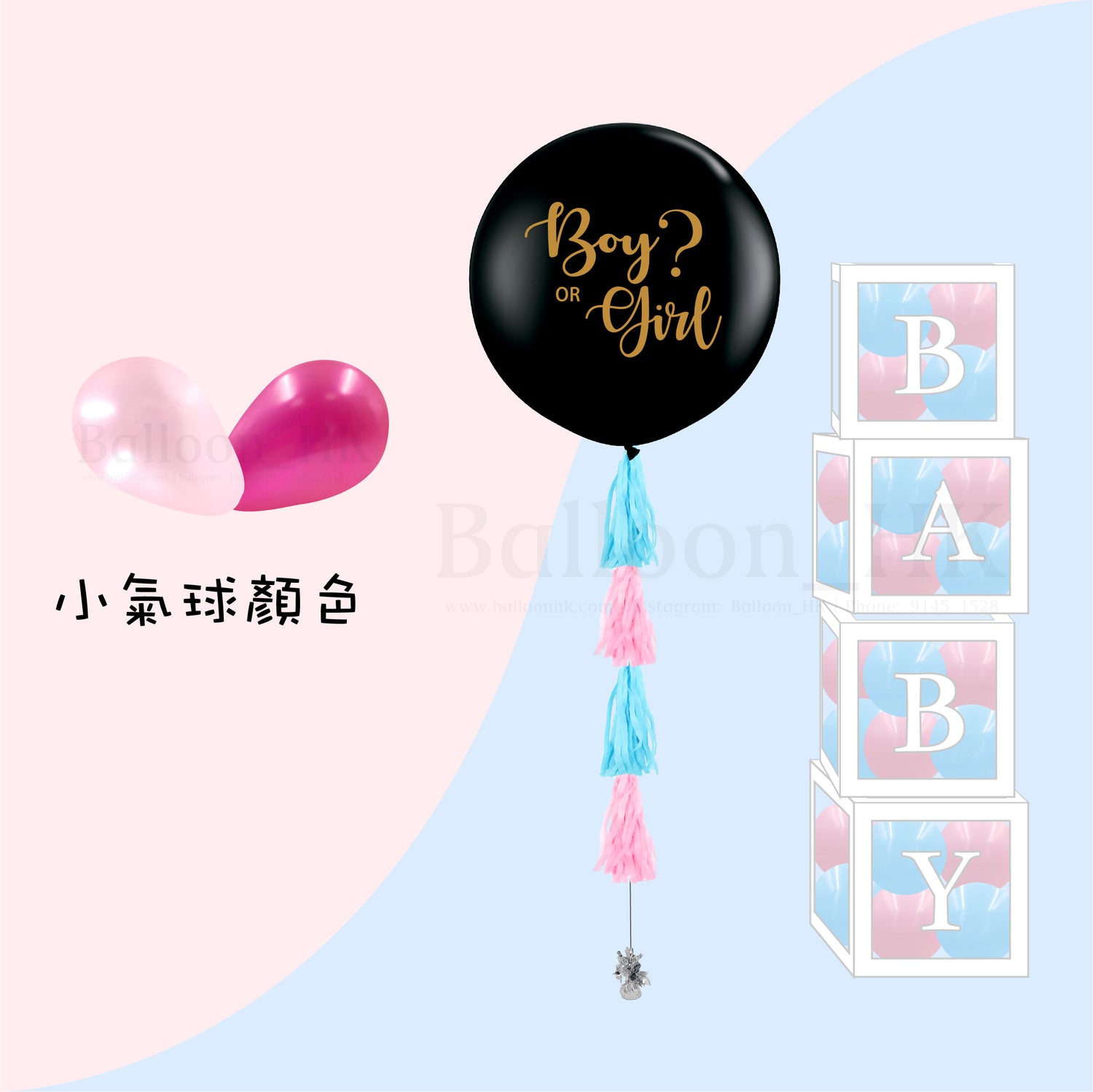 Baby Gender Reveal Package 4
