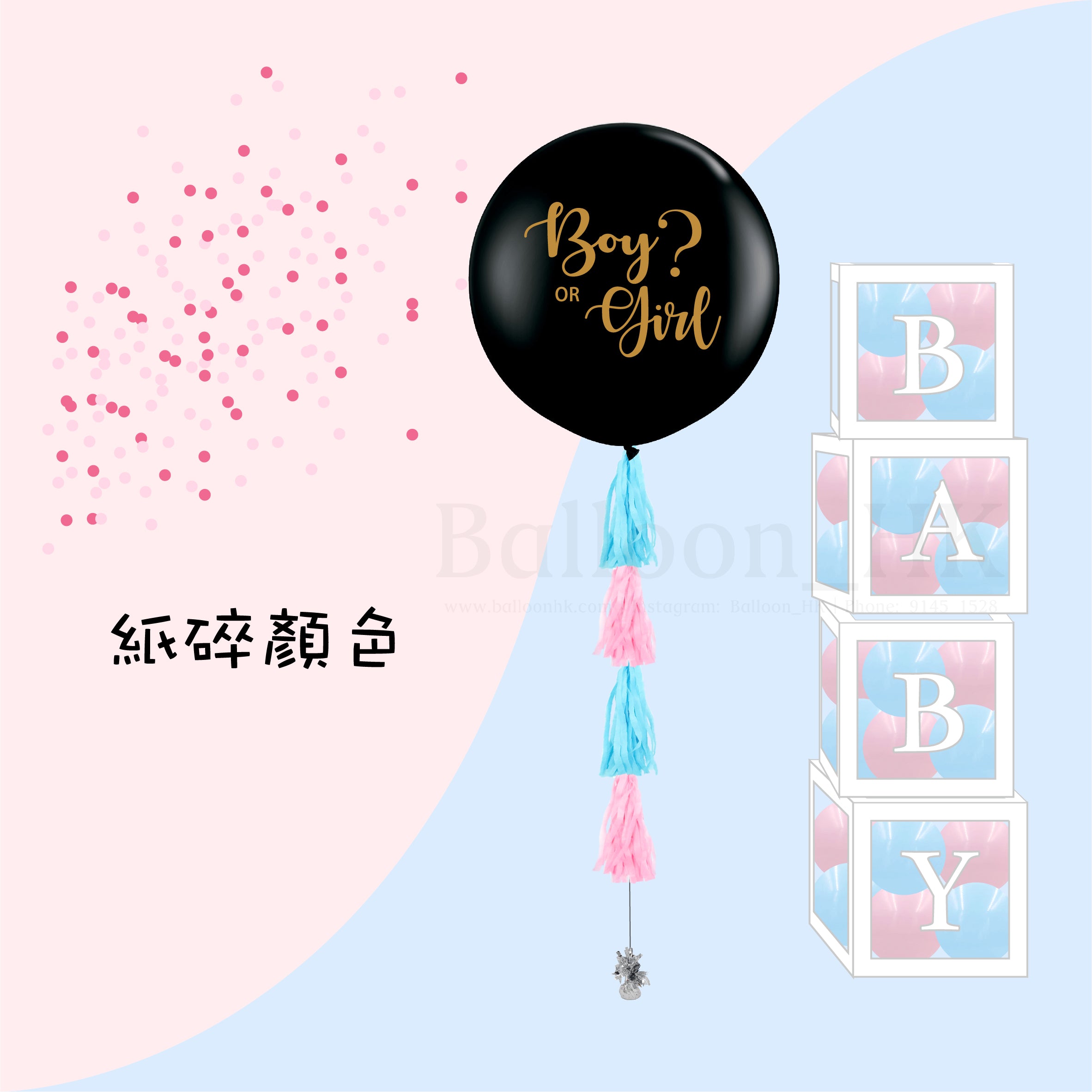 Baby Gender Reveal Package 4