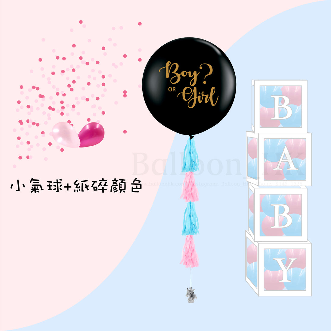 Baby Gender Reveal Package 4