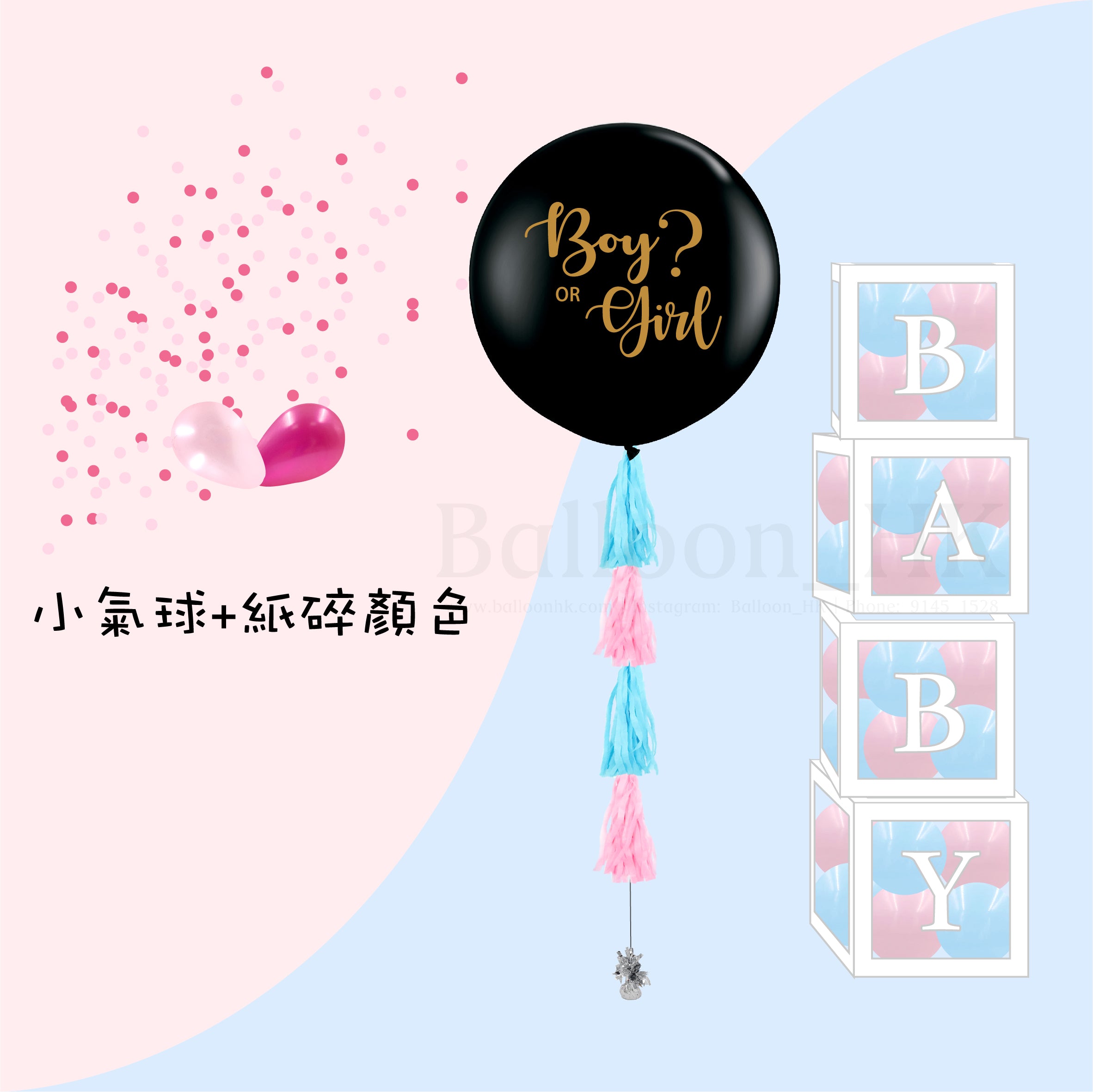 Baby Gender Reveal Package 4