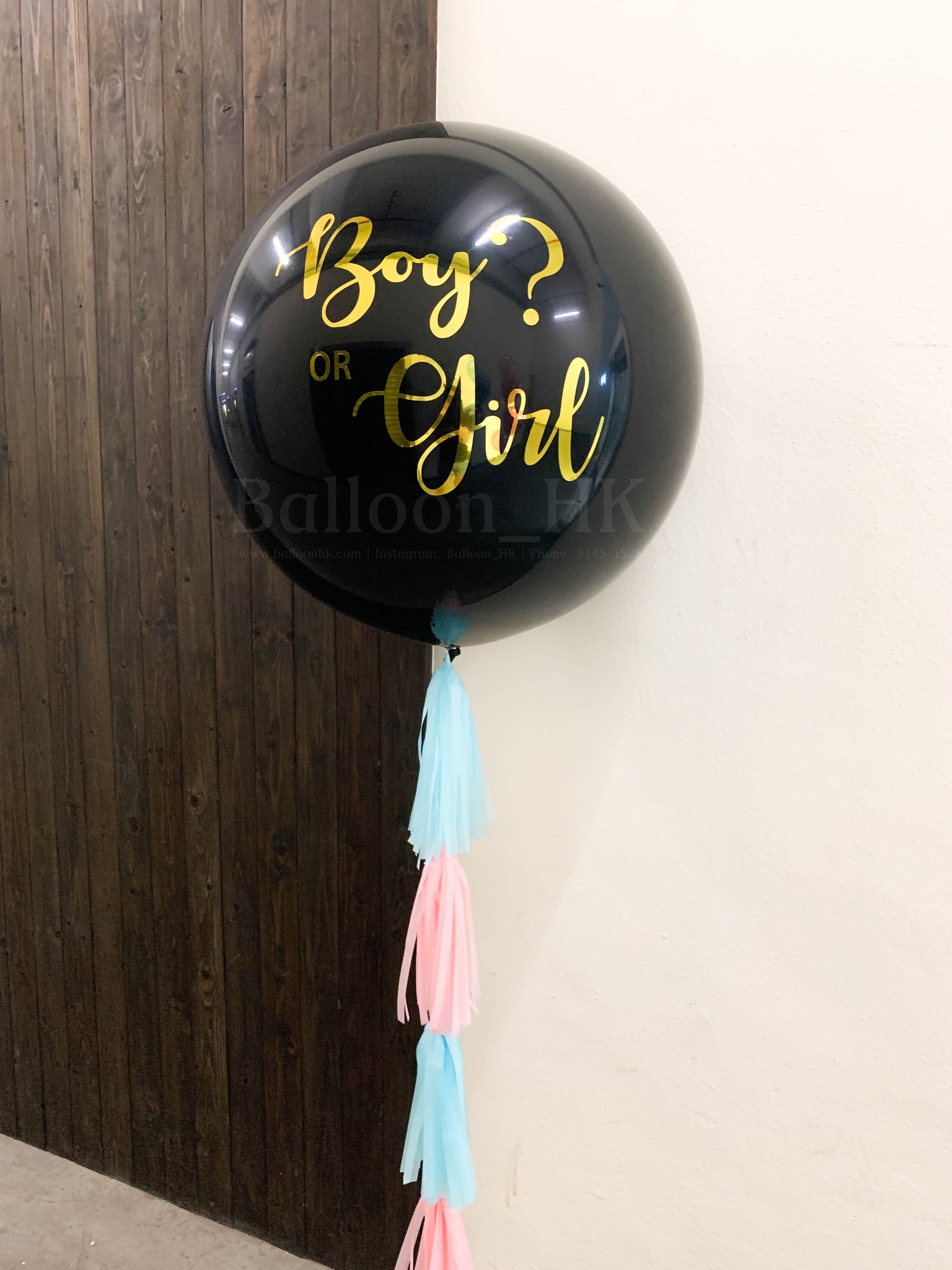 Baby Gender Reveal Package 2