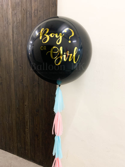 Baby Gender Reveal Package 2
