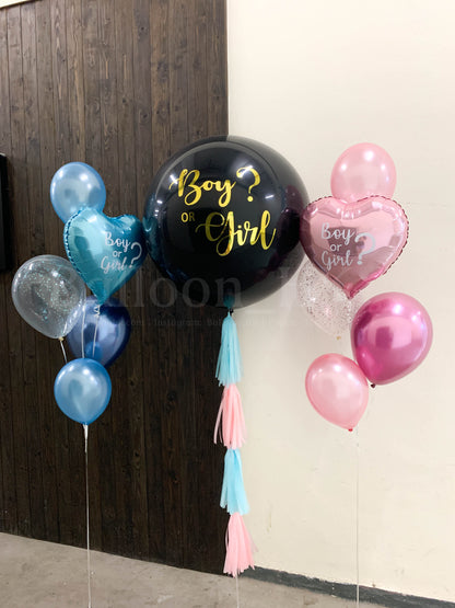 Baby Gender Reveal Package 2