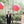 36" 紅色橡膠氣球 - 囍 + 流蘇