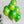 11" 橡膠瑪瑙氣球-西瓜綠